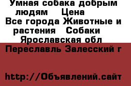 Умная собака добрым людям. › Цена ­ 100 - Все города Животные и растения » Собаки   . Ярославская обл.,Переславль-Залесский г.